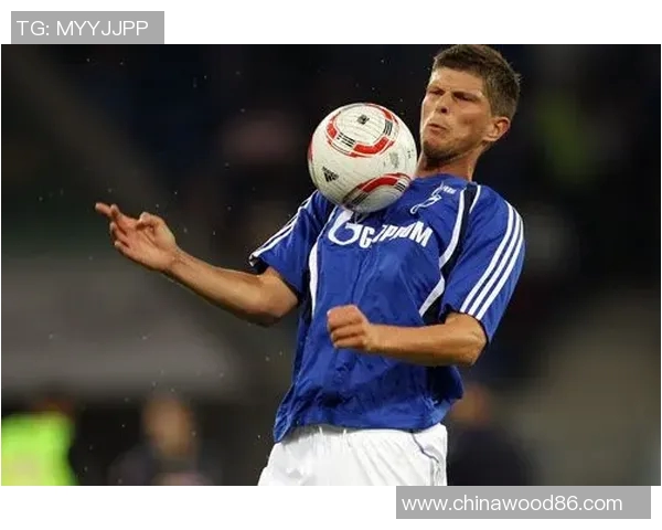 沙尔克04主场送霍芬海姆狂胜，豪取三分！